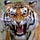 Go to the profile of Russell Wolf Grayson, Esq