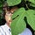 Go to the profile of Michael David Murphy