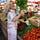 Go to the profile of The Solitary Cook