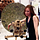 Go to the profile of Sloane J Trugman
