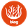 Corall Blog