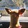 Go to the profile of Diane Fisher