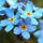 Go to the profile of Sophia Spring