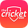Go to the profile of The Cricket Web