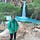 Go to the profile of Audrey Foronda