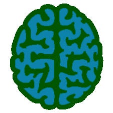 The Synapse