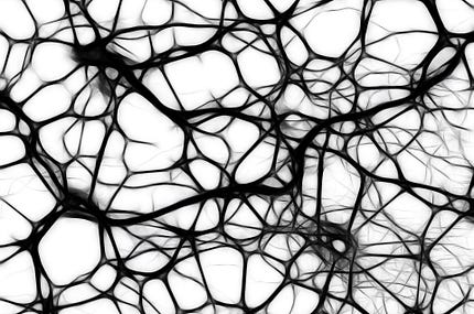 Imagem em destaque para o post: Algoritmos como alternativa aos vieses cognitivos