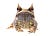 Published in 360 one-eighty