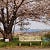 Go to the profile of 石川昌和