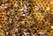 The Grumbling Hive