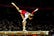 Artistic Gymnastics
