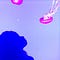 Go to the profile of Tuti
