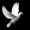 Go to the profile of Loraine Cox