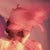 Go to the profile of Vox Lux