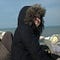 Go to the profile of Allyson Gronowitz