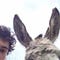 Go to the profile of Arthur Hirel
