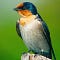 Go to the profile of Gerry_B