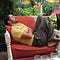 Go to the profile of Mohit Verma