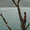 Go to the profile of Eloi Simard-Quesnel