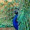 Go to the profile of Stories_from_Earth