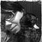 Go to the profile of Bianca Lemos