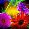 Go to the profile of Susan Christiana