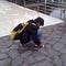 Go to the profile of Sleeping Kaijuu