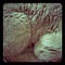 Go to the profile of Oleg Tischenkov