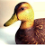 Go to the profile of bingowrt