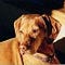 Go to the profile of Helen Atkinson