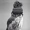 Go to the profile of James T Harding