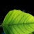 Go to the profile of Donald Pittard