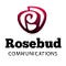Go to the profile of Rosebud