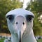 Go to the profile of DFS Albatross