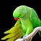 Go to the profile of Vihaan Sen