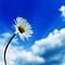 Go to the profile of Devid Wan