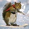 Go to the profile of Jeff Hobbs