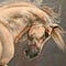 Go to the profile of Katerina Raja-Peppas