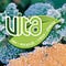 Go to the profile of Vita ONG