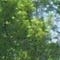 Go to the profile of Sarzana1