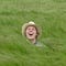 Go to the profile of Tom Savage