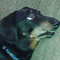 Go to the profile of mark ptak