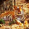 Go to the profile of Vikas Thakur