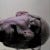 Go to the profile of Dallas Clyde Moore was @Y
