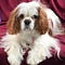 Go to the profile of Pamela A. Stewart