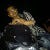 Go to the profile of Raghuveer K 