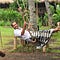 Go to the profile of Igor Botelho Bernardes