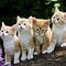 Go to the profile of Quynh Quynh