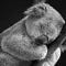 Go to the profile of Michal Hodinka
