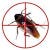 Go to the profile of Maximum Pest